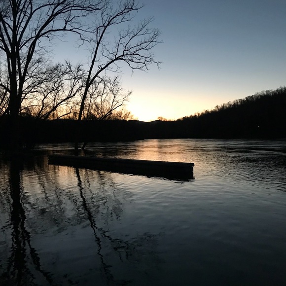 Meet your Posher, Shelby - Picture 1 of 1